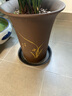 紫砂兰花盆特大君子惠兰花盆墨兰等各种兰花绿植陶瓷紫砂专用花盆 高兰 超 大号 紫砂 x 中等 实拍图