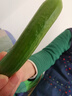 旭耕有机蔬菜组合尝鲜套餐3斤3-6种 时令新鲜无农残净菜 顺丰端午礼盒 3斤自选3-6种菜 实拍图