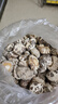 聖武山珍湖北十堰房县特产小花菇香菇干货500g冬菇神农架蘑菇菌菇山珍煲汤 实拍图
