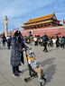 曼乐兔婴儿推车溜娃神器轻便口袋溜娃车轻便折叠车儿童大童0-3-6岁宝宝 武士黑【一键折叠+牛津布版】 可上飞机轻便出行一键折叠 实拍图
