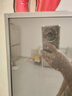 BAOTRON工业液晶触控屏显示器内嵌式机柜屏幕工控电容触摸屏壁挂显示器车载屏幕医疗器械显示器电梯显示屏 21.5寸-宽屏电容触摸液晶屏显示器 金属外壳纯平面款 实拍图