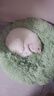 柒哦猫窝保暖冬季狗窝封闭式四季通用甜甜圈猫窝冬天网红宠物垫子用品 保暖长绒深睡窝-牛油果绿 M【15斤内适用 50cm】 实拍图