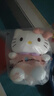 Hello Kitty三丽鸥毛绒玩具猫咪玩偶摆件布娃娃抱枕生日礼物女生 凯蒂猫公仔 实拍图