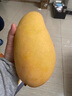 春福乐 【顺丰速运】海南三亚青皮澳芒 现摘芒果新鲜水果礼盒装 大果5斤丨时令尝鲜丨单果350+ 陆运一级果【性价比推荐】 实拍图