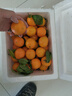 正宗德庆皇帝柑新鲜水果贡柑茂谷10斤广东当季桔子媛爱橘柑沃大果 带箱10斤装中大果 实拍图