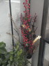 MZXM假花仿真花摆设客厅红浆.果落地式插花干花花束欧式装饰花艺摆件 D款-【红浆果尤加利】不含瓶 实拍图