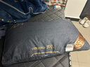潮寝枕芯家用宿舍枕头枕芯送枕套酒店婚庆宿舍单人可水洗护颈枕头芯 双边鲸鱼【中高枕】 （枕芯一只）+枕套一个 实拍图