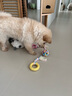 萌嘟星宠狗狗玩具耐咬磨牙棒狗咬胶小型犬幼犬橡胶球宠物用品 马卡龙6件套 实拍图