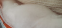 紫优晗新疆纯棉花一级优质填充物散装长绒棉絮新棉花被子棉花精梳棉胎被 新疆长绒棉 一斤一卷（1.5*2米） 实拍图