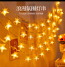 柬渝彩灯氛围灯10米80灯带闪户外露营LED灯串活动场地布置装饰星星灯 10米80灯 星星暖黄【电池款】 实拍图