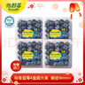 怡颗莓Driscoll's 秘鲁蓝莓Jumbo超大果20mm+4盒125g/盒 水果礼盒 实拍图