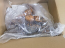 禾笙堂马到成功摆件客厅玄关工艺装饰品办公室乔迁之喜搬家风水开业礼品 木纹-马到成功小号长33*14*33cm 实拍图