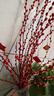 【银柳送挂饰】年宵花⭐真花鲜枝红色客厅室内干花盆栽摆件水培 【20枝】招财银柳-送新春挂件 60cm 实拍图
