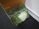 葆贝佳拉拉裤尿不湿宝宝专用成长裤超薄透气训练裤大吸量xl码弱酸亲肤 【拉拉裤】L码32片 建议15-18斤 实拍图