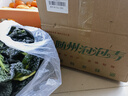 泡泡青菜随州带箱2.5kg实惠装火锅泡泡菜湖北特产年货 泡泡青带箱5斤实惠装 实拍图