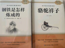 七年级下册必读名著：骆驼祥子+钢铁是怎样炼成的【套装2册】 初中七年级下语文教材名著导读推荐书目初中语文教材配套阅读赠阅读手册 实拍图