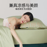九洲鹿仿天丝枕套一对简约轻奢枕头套 家用双人枕套48*74cm 实拍图