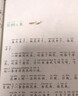 树和喜鹊 金波春夏秋冬美文系列春天卷 课文作家作品系列 一年级下册 著名儿童文学家金波著作 语文教材配套读物 同名作品收入中小学语文教科书 实拍图