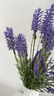 匠心绽放薰衣草仿真花高级客厅装饰家居饰品桌面高档摆件1束12叉含瓶20006 实拍图