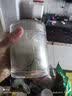 健典霍山铁皮石斛粉 正宗铁皮石斛枫斗超细粉磨粉纯粉特级 霍山铁皮石斛粉200g克 实拍图