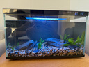 疯狂水草鱼缸造景装饰溪流石底部砂石天然溪流缸南美缸造景石乌龟躲避晒台 溪流缸造景套餐（40-50cm缸） 实拍图