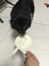 宠必威英特威四联疫苗狂犬疫苗幼犬狗狗疫苗自打套餐 【英特威】四联单针 普快速发 实拍图