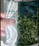 珀莱雅（PROYA）面膜保湿补水小球藻神经酰胺密集保湿面膜贴片式女生男士官方旗舰 小球藻补水面膜-60片 实拍图