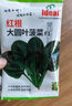 四季蔬菜种子大全菠菜香菜生菜油麦菜苋菜鸡毛菜芹菜矮脚黄蔬菜籽 红根菠菜种子1包约1100粒 实拍图