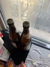 黑狸精酿官方正品【2瓶尝鲜】多口味巧克力世涛黑啤酒ipa小麦白啤原浆 18度 双料金色大麦 330ml*2 实拍图