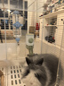 hoopet狗狗喝水器挂式水壶水瓶水嘴喂水神器小狗猫咪宠物用品悬挂式不湿 圆形宠物饮水器946ml(蓝） 实拍图