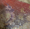 大益TAETEA茶叶普洱茶茶饼 6年陈料龙诞普洱生茶200g*5 送礼送长辈 实拍图