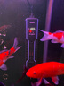 森森（SUNSUN）龙鱼缸加热棒自动恒温变频省电加温棒水族箱加温器 急速加热【1000W省电】推荐500-700L水 实拍图