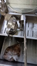 欧橡（OAK）304酒提子漏斗量酒器带过滤网漏斗酒吊打油勺打酒器套装C1434 实拍图