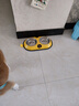 柒哦狗碗狗盆猫碗双碗猫食盆狗狗饭盆不锈钢防打翻碗中小型犬宠物用品 黄色小熊-大号（适合25斤内） 实拍图