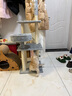 华元宠具（hoopet）猫爬架小户型猫窝猫树一体中型剑麻猫抓柱立式猫架子猫抓板猫玩具 实拍图