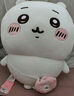 名创优品（MINISO）chiikawa大号挎包站姿公仔毛绒玩具玩偶抱枕礼物女 Usagi乌萨奇 实拍图