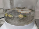 金灶（KAMJOVE） 智能养生壶煮茶器1.5L大容量电热水壶玻璃烧水壶恒温壶预约煮茶壶办公室花茶壶 白色 1.5L HT-350 实拍图