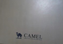 骆驼（CAMEL）男士马丁靴户外运动休闲复古加绒工装鞋 GE12235362R 深沙加绒 40 实拍图