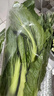 【好事连连】连州菜心400g 实拍图