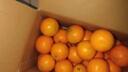 甜果源 湖南麻阳冰糖橙子 高山甜橙子果冻脐橙时令应当季新鲜水果礼盒品 净重9斤【超值实惠】 单果65-70mm（稀缺豪华大号果） 实拍图