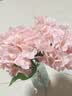 野派手感保湿仿真花绣球花假花客厅花瓶花艺摆件家居插花高端软装饰品 浅粉色手感保湿绣球 1支 实拍图