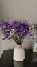爱满（AIMAN）满天星天然干花花束ins网红生日 新房装饰摆件风干真插花家居摆设 紫色满天星+黄水晶  【带M款花瓶】 实拍图