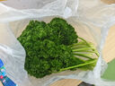 绿食者新鲜荷兰芹250g 法国香菜 旱芹菜 新鲜蔬菜 西餐火锅摆盘装饰材料 250g 实拍图