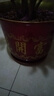 九千谷花盆托盘大号加厚仿陶瓷高档树脂接水盘内径22cm砖红2个装4375 实拍图