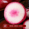 京地达山东冰激凌水果萝卜净重8.5斤单果重400g+ 新鲜蔬菜 源头直发包邮 实拍图