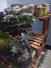 木马人（MUMAREN）实木转角组合花架多肉多层阶梯落地式绿萝阳台木质花盆架子置物架收纳架 （3层）直角复古-带花铲 实拍图