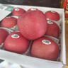 君恬果园皇金山东烟台苹果黄金维纳斯年货水果礼盒纯甜香脆生鲜新鲜水果 鉴赏级皇金15颗装 实拍图