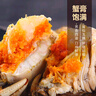 【活蟹】今锦上大闸蟹鲜活螃蟹礼盒公3.3-3.6两母2.8-3.1两4对8只精品礼盒礼品去绳足重 实拍图
