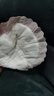 十月结晶防溢乳垫一次性乳贴喂奶隔奶垫溢奶垫防漏不可洗 200片装 赠后230片 实拍图