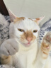 喵丽丝猫抓板猫爬架一体耐磨不掉屑剑麻抓柱耐抓逗猫棒猫咪玩具自嗨解闷 【品质特惠款】四合一猫抓柱50cm 收藏加购优先发货 实拍图